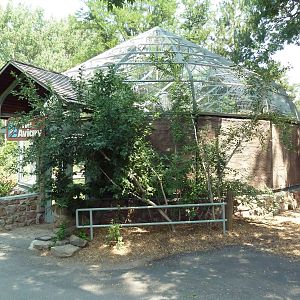 Andean Condor Exhibit