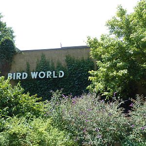 Bird World - 1975 Building