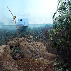 Bird World - Rainbow Lorikeet Exhibit