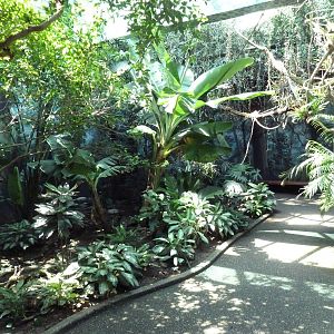 Bird World - Walk-Through Aviary