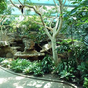 Bird World - Walk-Through Aviary