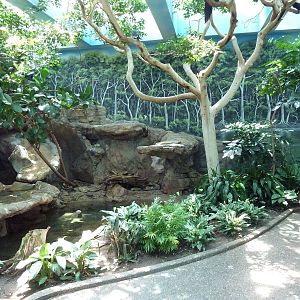 Bird World - Walk-Through Aviary