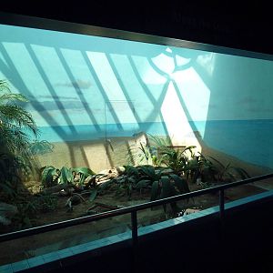Bird World - Egyptian Plover Exhibit