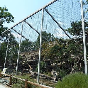 Steller's Sea Eagle Aviary