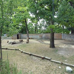 Sichuan Takin Exhibit