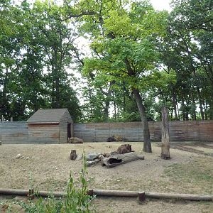 Sichuan Takin Exhibit