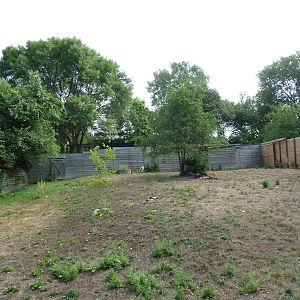 White-Naped Crane Exhibit