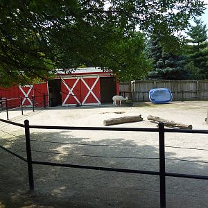 Barnyard - Alpaca Yard