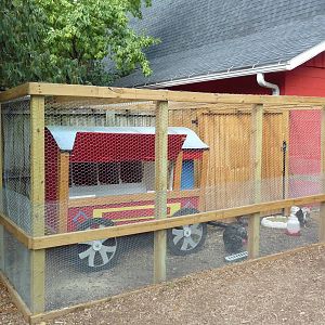 Barnyard - Serama Bantam Chicken Exhibit
