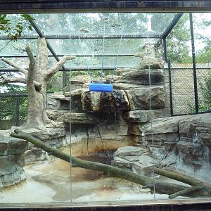 Colobus Monkey Exhibit (Side View)