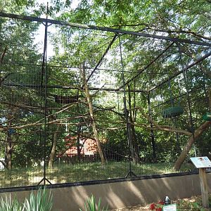 Diana Monkey Exhibit