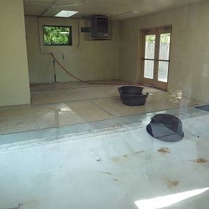 American Flamingo Indoor Exhibit