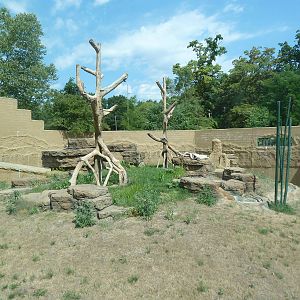 Chimpanzee Exhibit