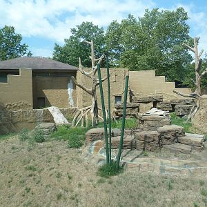 Chimpanzee Exhibit