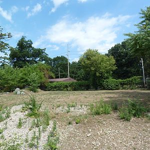 Grant's Zebra Exhibit