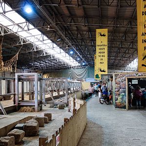 Elephant Shed and Reptile Area - 11/08/2012