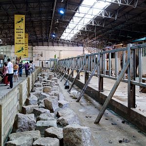 Elephant Shed - 11/08/2012