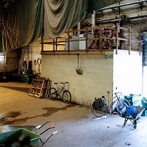 Elephant Shed Keeper Area - 11/08/2012