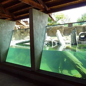 River Otter Exhibit