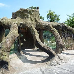 Giant Anteater Exhibit