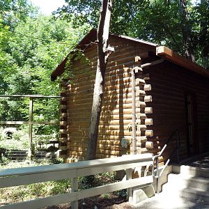 Gray Wolf Cabin - Viewing Area