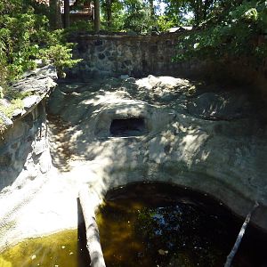 Painted Turtle/Mud Turtle Exhibit