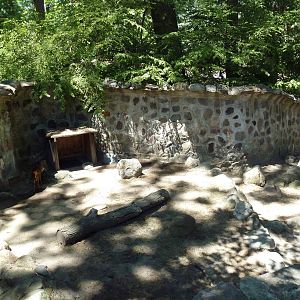 Reeves' Muntjac Exhibit