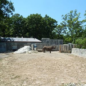 Black Rhino Exhibit