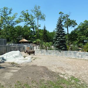 Black Rhino Exhibit