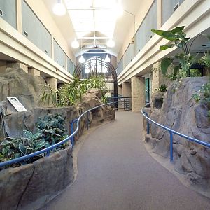 1930 Primate + Feline House