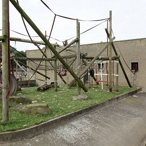 Orang-Utan Outdoor Enclosure - 11/08/2012