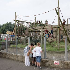 Orang-Utan Outdoor Enclosure - 11/08/2012