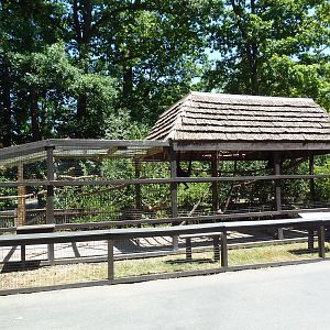 Spider Monkey Exhibit