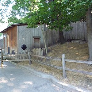 Bennett's Wallaby Walk-Through Exhibit