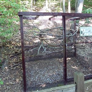 Sulphur-Crested Cockatoo Cage