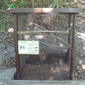 Monk Parakeet Cage