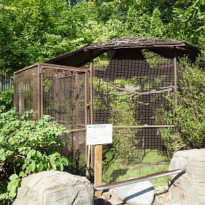 Prairie Falcon Cage
