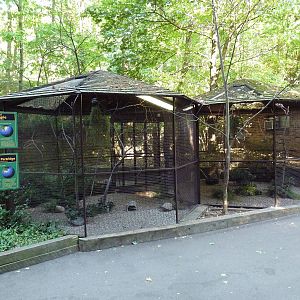 Azure-Winged Magpie/Mountain Bamboo Partridge Aviaries