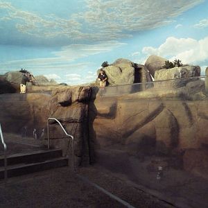 Living Shores Aquarium - Magellanic Penguin Exhibit