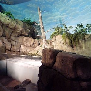 Living Shores Aquarium - Northwest Tide Pool