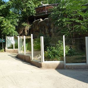 Komodo Dragon Exhibit