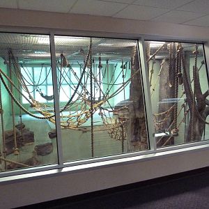 Chimpanzee Indoor Exhibit