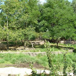 African Exhibit (5 Species)