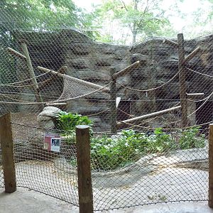 Colobus Monkey Exhibit