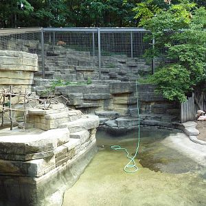 3 South American Exhibits