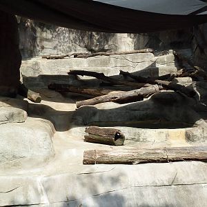Grizzly Bear/Coastal Brown Bear Exhibit