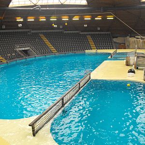 Dolphinarium