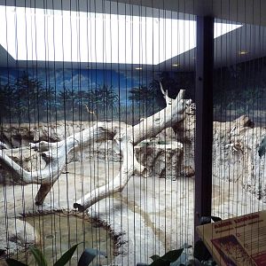 1930 Main Zoo Building - Amur Leopard Indoor Exhibit
