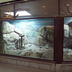 1930 Main Zoo Building - Meerkat Exhibit