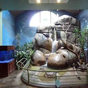 1930 Main Zoo Building - Bird Waterfall + Fish Tank